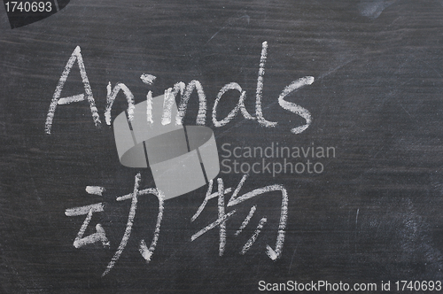 Image of Animals - word written on a smudged blackboard