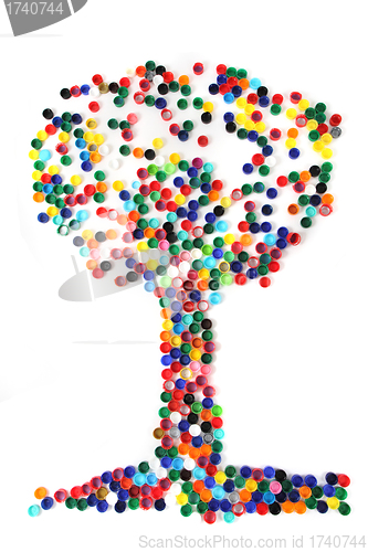 Image of tree from the color caps 