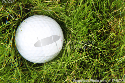 Image of golf ball in the green grass