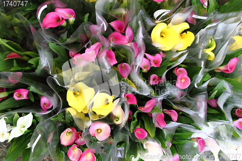 Image of red and yellow flowers