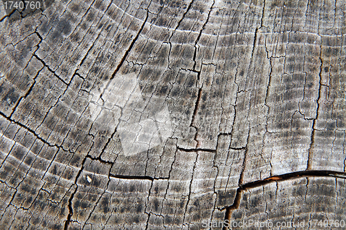 Image of wooden background