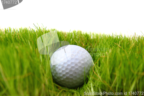 Image of golf ball in the green grass