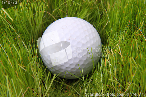 Image of golf ball in the green grass