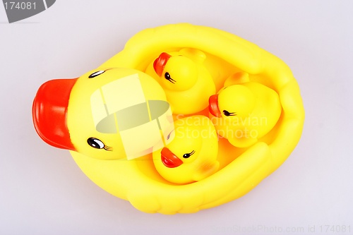 Image of Rubber Duck