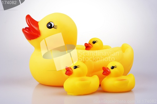 Image of Rubber Duck