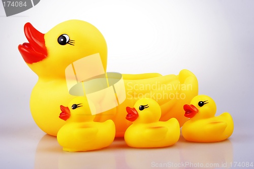 Image of Rubber Duck