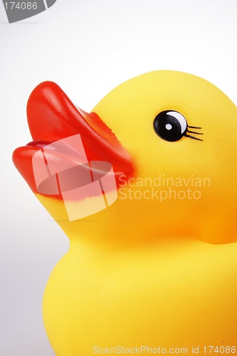 Image of Rubber Duck