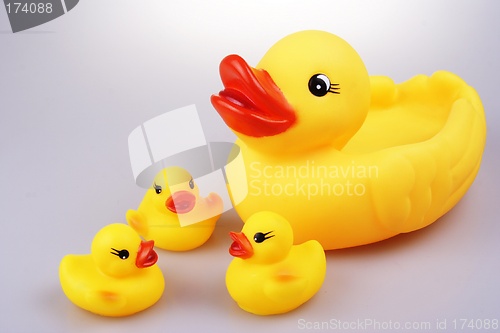 Image of Rubber Duck