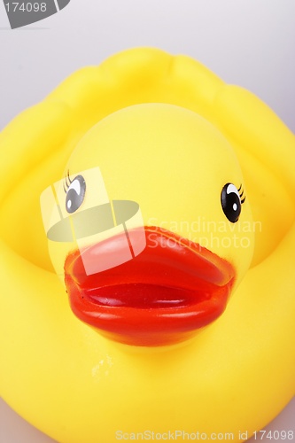 Image of Rubber Duck