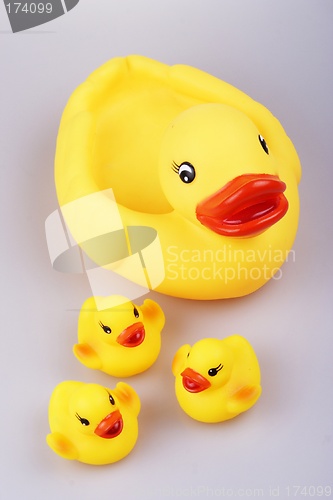 Image of Rubber Duck