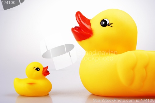 Image of Rubber Duck