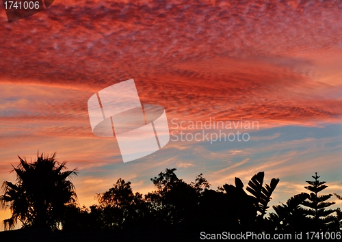 Image of Beautiful red sunset