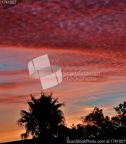 Image of Beautiful red sunset