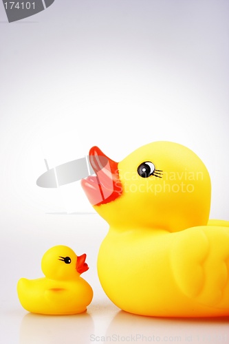 Image of Rubber Duck