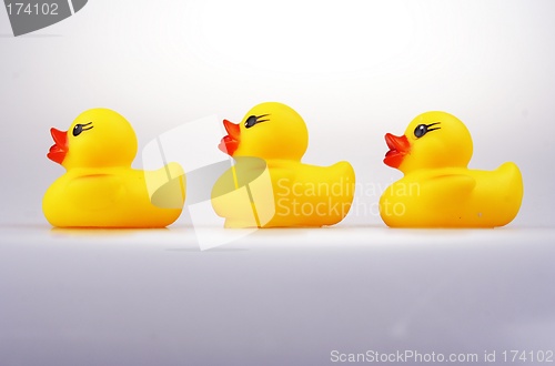 Image of Rubber Duck