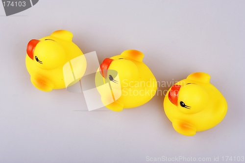 Image of Rubber Duck