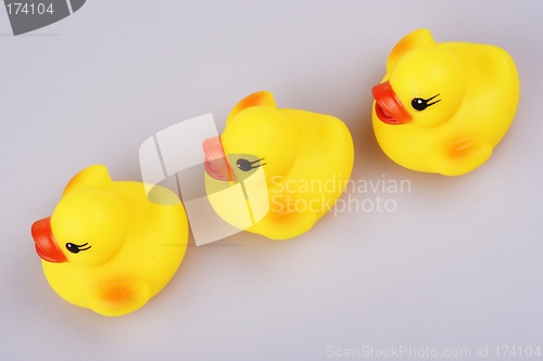 Image of Rubber Duck