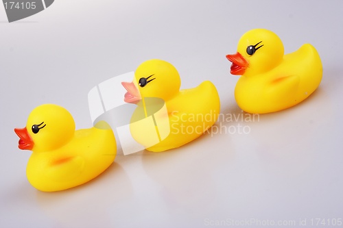 Image of Rubber Duck