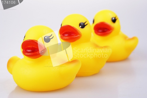 Image of Rubber Duck