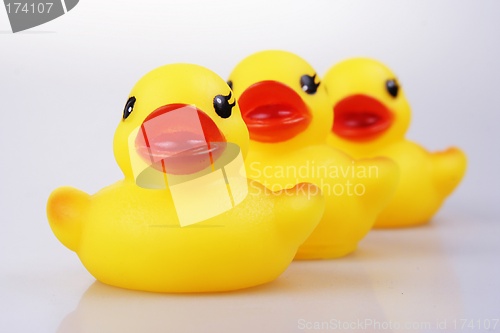 Image of Rubber Duck