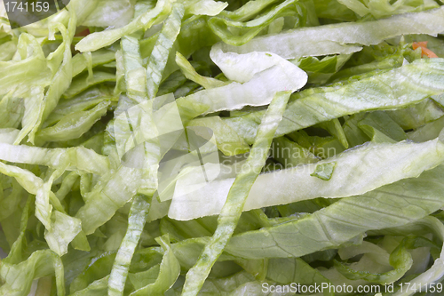 Image of Vegetable Salad