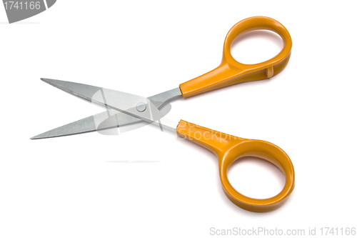 Image of Handled scissors 