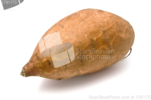 Image of Sweet Potato