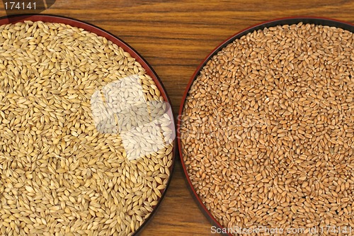 Image of Husked And Rough Rice
