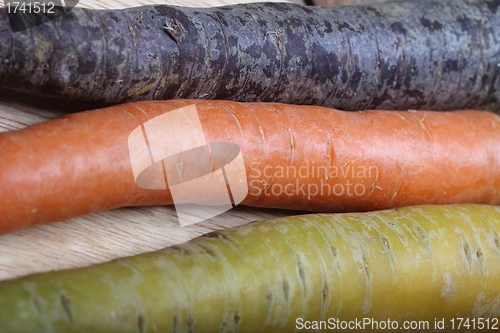 Image of different carrots