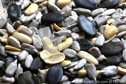 Image of mixed seed texture
