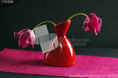 Image of pink tulips in a vase on a black background 