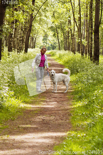 Image of The woman walks with a dog in a wood