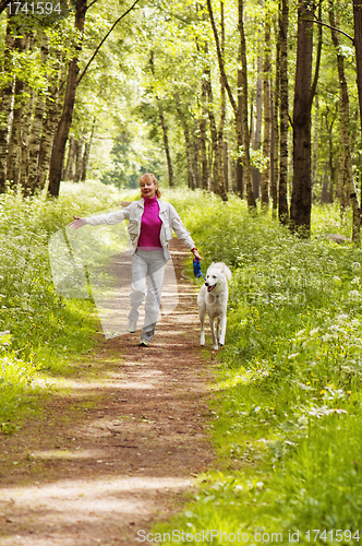 Image of The woman walks with a dog in a wood