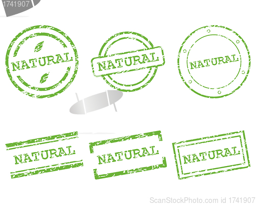 Image of Natural stamps