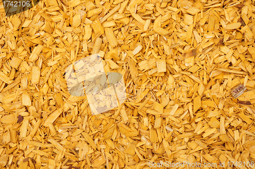 Image of Yellow woodchips