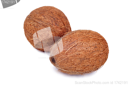 Image of Coconut fruit isolated on white background