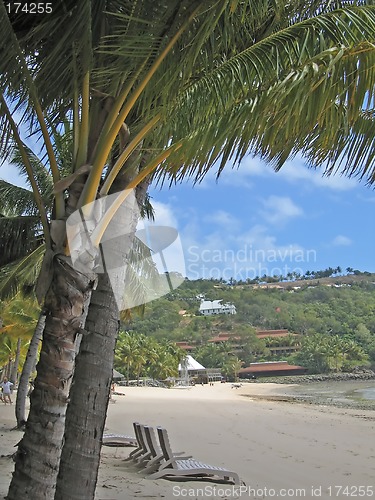 Image of View of the Hamilton island