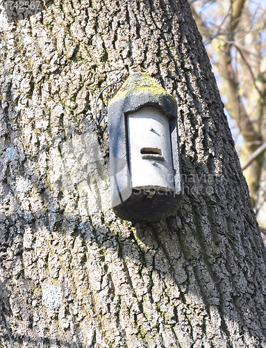 Image of Bat box