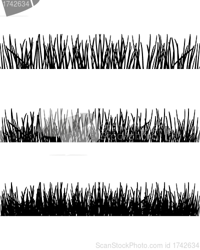 Image of Grass silhouettes