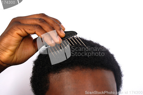 Image of Comb the Hair