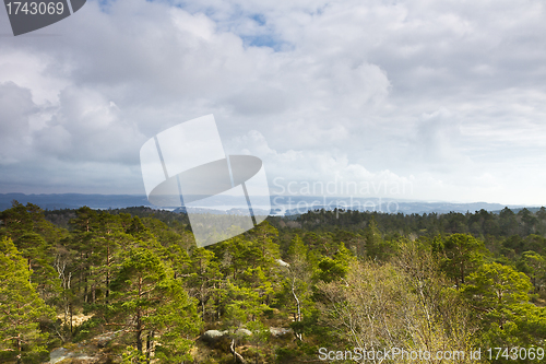 Image of view over forest with cloudy sky