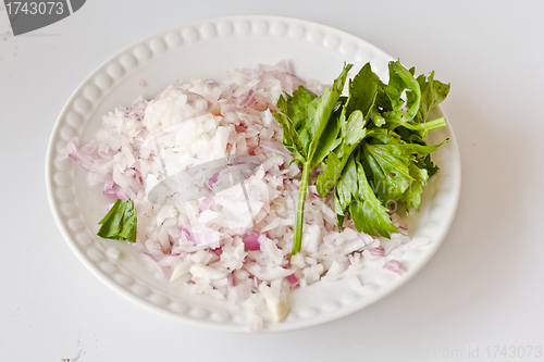 Image of Chopped onions and raw parsley