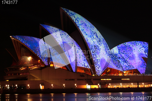 Image of EDITORIAL: Sydney Opera House during Vivid Festival