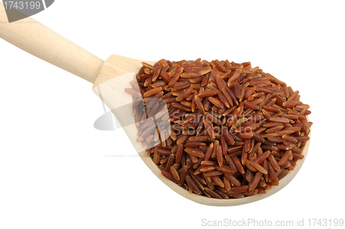Image of red rice on wooden spoon
