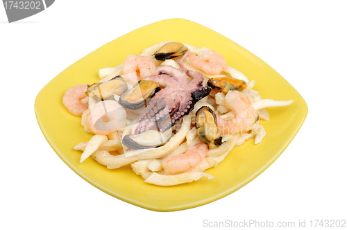 Image of Sea cocktail