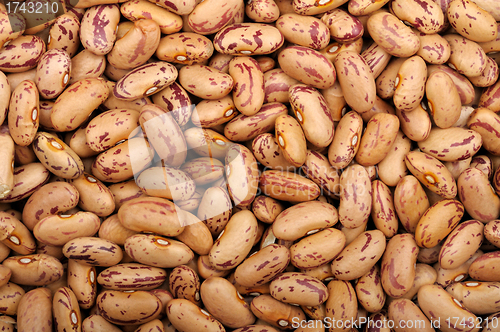 Image of background of Pinto beans