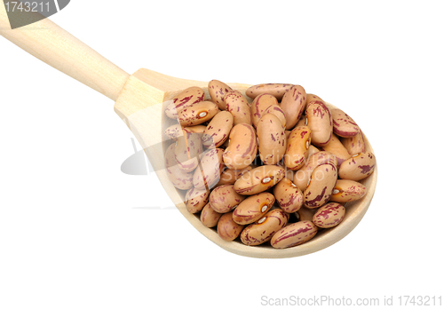 Image of Pinto beans