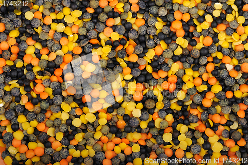 Image of mix of four types of lentils