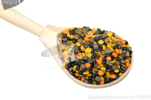 Image of mix of four types of lentils