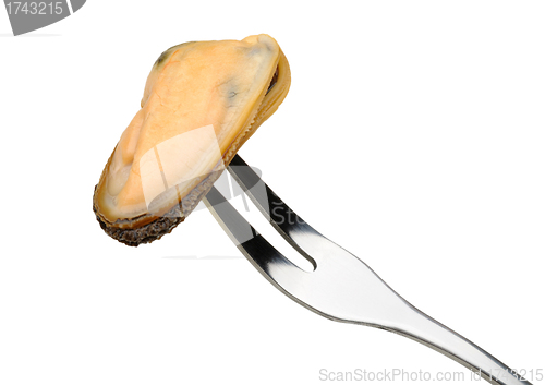 Image of mussel on a fork